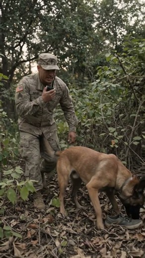 He found the missing kid before the search team arrived 🧒🐾