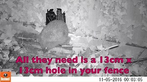 11K views · 119 reactions | Here are our top 3 tips for helping...