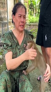 3.6K views · 232 reactions | Sad moments of Diem and Grandma when Monkey Kaka and Mit were confiscated | Macaque Video | Facebook