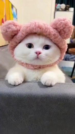 pretty_kitty_official on TikTok