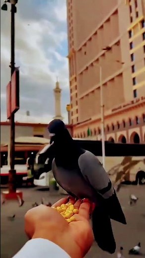 “Most Beautiful Azzan in Makkah – Live Adhan at Kaaba | Peaceful Islamic Call to Prayer”.
