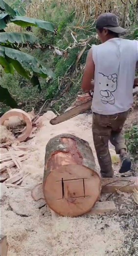 trick to drill a hole in the middle of a tree trunk #shortsvideo #tricks #chainsaw #woodworking