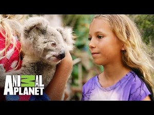 La encantadora de koalas | The Dodo: En busca de héroes | Animal Planet