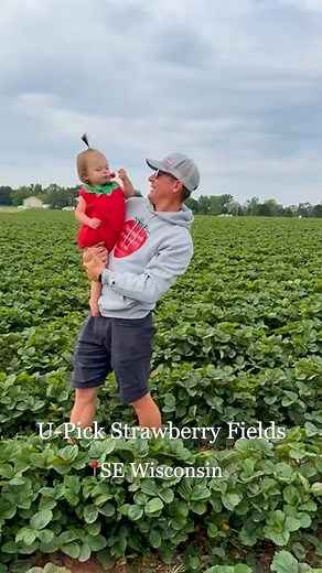 Find your perfect pick this summer 🍓🥰 Be on the lookout for peak picking dates! Make the most of sweet summer days! ☀️ 📍 Bristol, WI | Thompson Farm 🎟️ Save BIG on weekday visits! | Thompson Farm