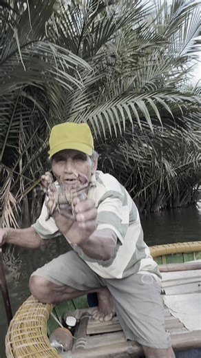 Accurate coconut boat experience