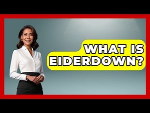 What Is Eiderdown? - Polar Regions Uncovered