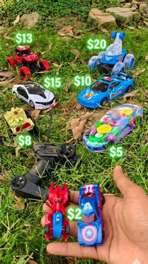 1$ vs 100$ RC car testing #rccar #remotecontrolcar #itsfungalaxy