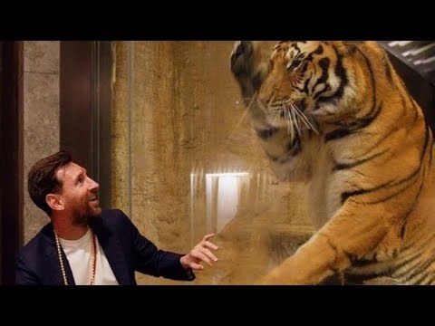 Vantara: Messi’s Most Unexpected Moment in India (Full Video Footage) | Epic India Tour