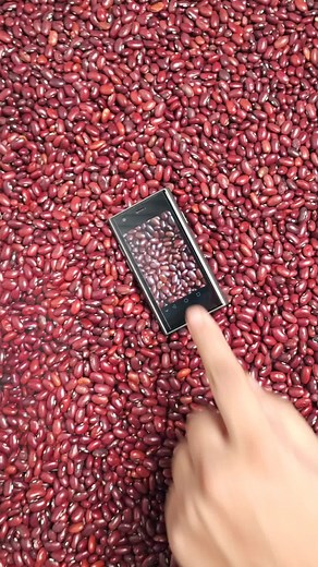 Samsung S24 Ultra vs S24 Mini: Display Quality Test