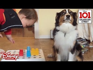 🎾 Playtime - Animal vs Humans | 101 Dalmatian Street | Disney Channel Africa