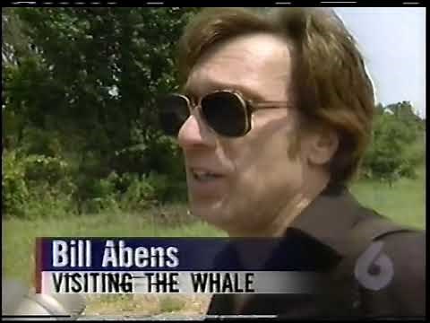 KOTV 6 Tulsa The News on at 6 July 1994