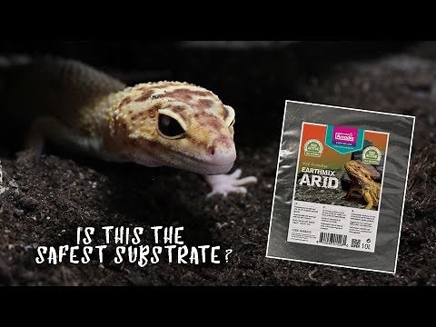 LOOSE SUBSTRATE FOR LEOPARD GECKOS? - Bioactive Substrate Review