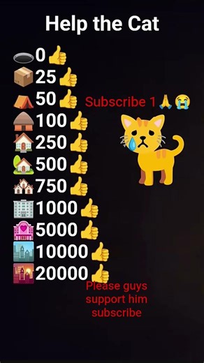 please guys support him this is a so innocent cat not house please biscuit for subscribe please guys