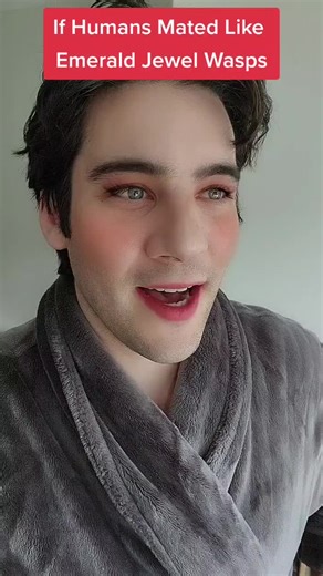 Exploring Wasp Mating Habits in a Humorous Way