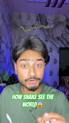 How snakes can see the world😱Experiment gone wrong💀