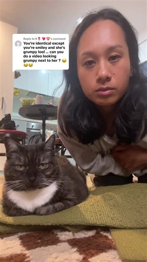 Do We Really Look Alike? Grumpy Cat Reactions