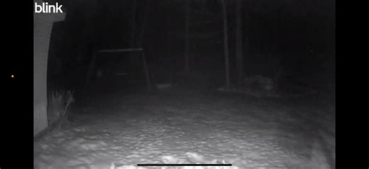 Cameras went off and if that ain’t Santa I heard then idk what it is😱😱 | Robert Lockwood Jr