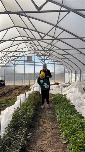 Firebranch Farm on Instagram: "🌼 Meet Firebranch Farm 🌼 A mother-daughter flower farm in central Kansas, growing specialty blooms since 2020. We specialize in Dahlias & locally grown flowers for life’s meaningful moments - from micro weddings and casket sprays to fresh wrapped bouquets available at Goessel Grocery & Deli & The Nest in Hesston. We also host workshops, a Specialty Spring Plant Sale - Firebranch Farm, and share exclusive farm, dahlia, how-to, and small business content inside our