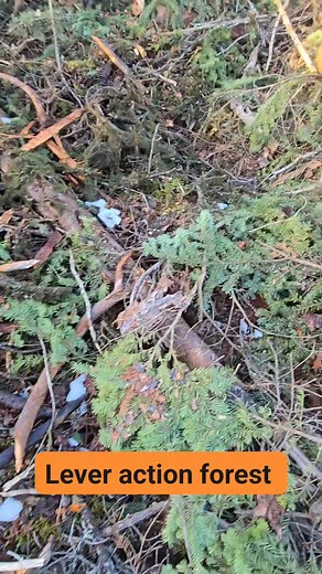 2.9K views · 35 reactions | Stand initiating cut. | Freya Logging Inc | Facebook