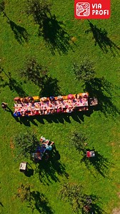 1.6K views · 525 reactions | Am pornit pe Via Profi în Maramureș,...