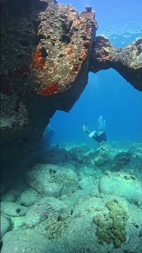 Puako House 40 drop point #divng#hawaiiisland #hawaii #scubadiving #turtle