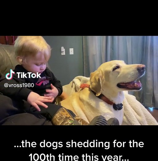 Vanessa Ross on TikTok