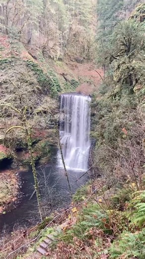 Such a beautiful Waterfall #nature #waterfall #short