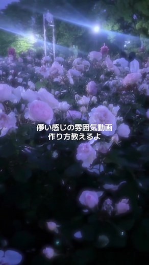 儚い感じの雰囲気動画の作り方