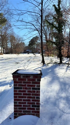 #toyota #landcruiser versión #dubai traída desde #Honduras #Molina Tree services 👷‍♂️🪾🌳