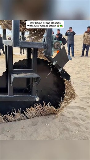 China's Wheat Straw Method to Stop Desertification