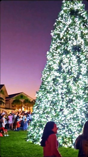 What an incredible night at Light Up Key Largo, our annual community Christmas tree lighting event. This celebration is made possible by a dedicated group of volunteers who pour their hearts into bringing our small island community together each year. The food was amazing, the drinks were flowing, and the kids had endless activities to enjoy. Events like this remind me how special it is to live in a place where neighbors feel like family and traditions shine brighter every season. Feeling gratef