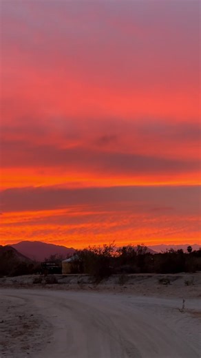 Vlogday 10 Un petit souvenir de mon aventure au Mexique 🌵 Le cactus et les montagnes représente ce voyage, cette liberté et un autre rêve coché sur ma liste. Tandis que le soleil pour représente tous ces levers et couchers de soleil qui me font toujours ressentir la même chose : un profond sentiment d’apaisement, de douceur et de gratitude. Un petit rappel de vivre pleinement ces moments ✨ #vlogday #vanlife #dayinalife