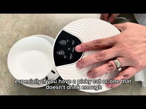 Cordless cat water fountain review