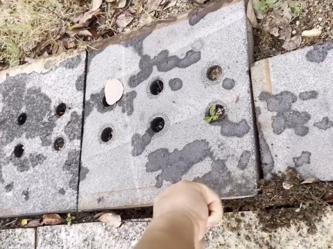 2PCS Paver Puller Extractor, 9 inch Carbon Steel Paver Removal Tool for Garden Lawn Yard Patio Brick Block Interlocking Stone Replacement