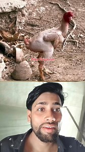 4.3M views · 10K reactions | अगर भागने सबका जान बच रहा है तो भागो | Piku priyansh official | Facebook