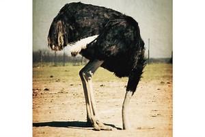 Why we find it hard to imagine and plan for worst-case scenarios