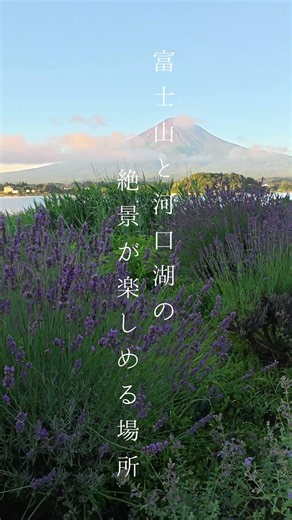観光で訪れたい富士山と花の名所