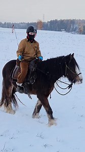 5.3K views · 137 reactions | Our easy-going blue-eyed beauty Gypsy Cob in training, Yuma. Enjoying her first ever snow ride today! My son is riding her for the first time here. https://fearlesshorsemanship.com/pferdeausbildung/ | Fearless Horsemanship | Facebook