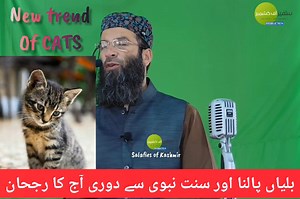 346K views · 2.7K reactions | New #Trend of #rearing #cats and making distance from #sunnah of #prophet Muhammad saw By molana Hafiz hilal salafi sahib | Salafies of Kashmir | Facebook