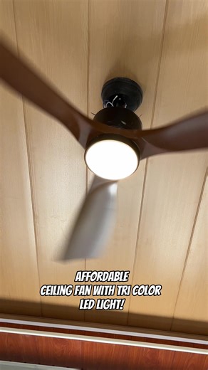 Tri-Colored LED Ceiling Fan for Versatile Use
