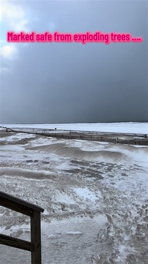 Exploring the Sounds of Cold Trees on Lake Michigan