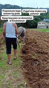 61K views · 565 reactions | Ang agrikultura ay gulugod(backbone) ng ekonomiya mabuhay ang mga magsasakang Pilipino. #agriculture | Eliazer Simeon | Facebook