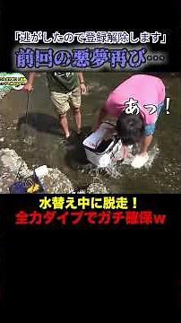 A man who lost subscribers after letting an eel escape does it again, but recovers his honor with...
