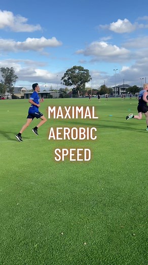 Utilise MAS to level up your aerobic conditioning! #strength #strengthtraining #strengthandconditioning #fitness #fit #gym #running #agility #speed #afl #aflw #aflwomens #football #soccer #footy #running #runner #conditioning