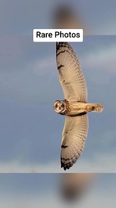 236K views · 7.1K reactions | Rare Photos That Will Totally Change Your Perspective! | Ｌｏａｄｉｎｇ ．．． | Facebook