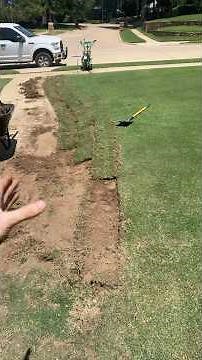 Cutting strips of sod to level soil with sidewalk (removing high spots)