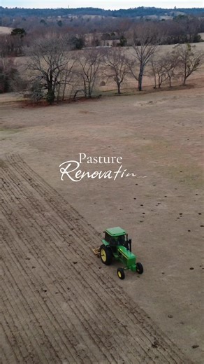 Creative Ways for Renovating Pasture for Better Farming