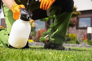 Say goodbye to chemicals: these wild plants do the job, naturally - Netmums