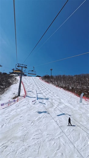 하이원 당일치기 헤라2 모글 #mogul #모글 #모굴 #레벨2 #freestyleskiing #snow #ski