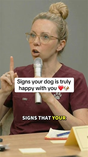 Signs Your Dog Is Happy with You